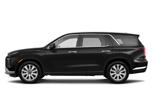 Hyundai Palisade  - Side view Hyundai Palisade  - Side view